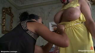 Brunette ትንሽ dominatrix በጣም Romain whips ትልቅ ይገናኛሉ tall blonde ቼክ lesbian ባርያ መልአክ Wicky ከዚያም anal fucks የእሷ ውስጥ ተመሳሳይ ባርነት አሁን strap በግራ cock